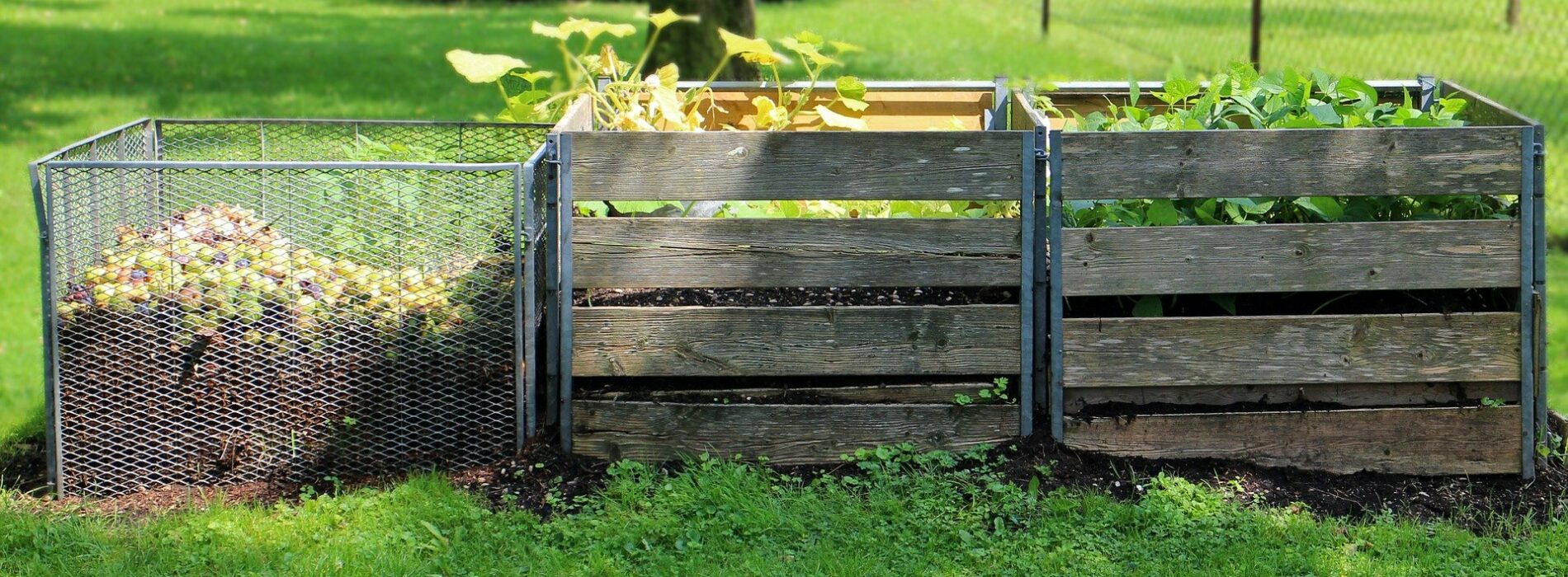 Kompostownik ogrodowy: jak założyć kompostownik w ogrodzie?
